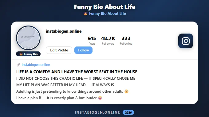 Funny Instagram Bios About Life